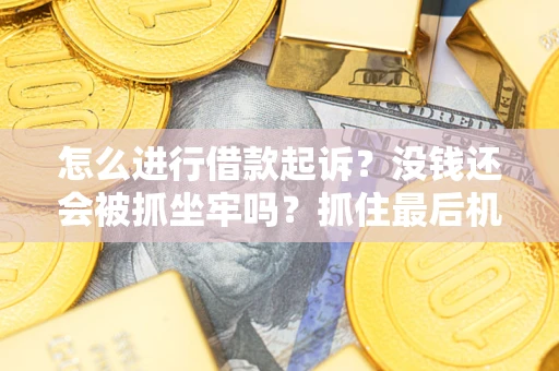 济南怎么进行借款起诉？没钱还会被抓坐牢吗？抓住最后机会！