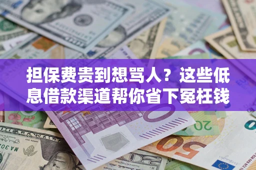 济南担保费贵到想骂人？这些低息借款渠道帮你省下冤枉钱