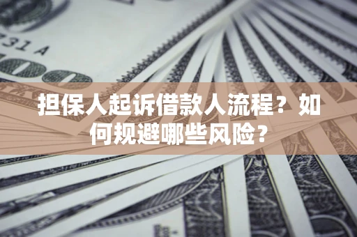 济南担保人起诉借款人流程？如何规避哪些风险？