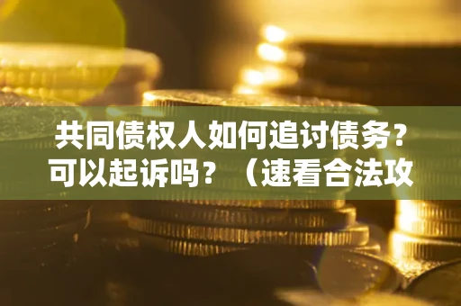 济南共同债权人如何追讨债务？可以起诉吗？（速看合法攻略）