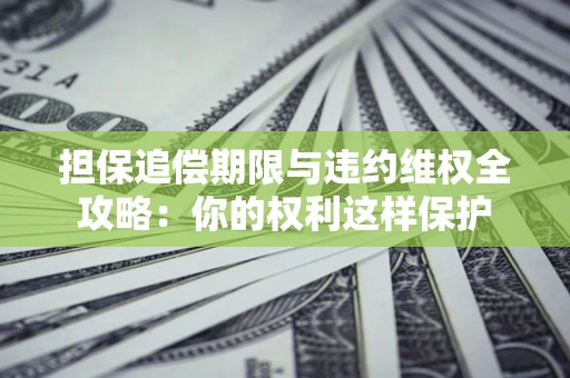 济南担保追偿期限与违约维权全攻略：你的权利这样保护