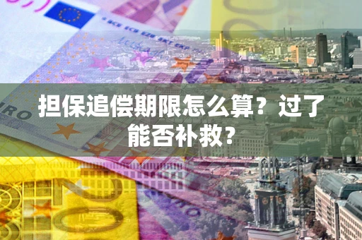 济南担保追偿期限怎么算？过了能否补救？